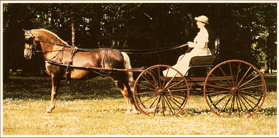 Sondarling-carriage